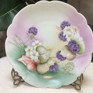 Rare Hand-painted Vintage Bavarian Plate